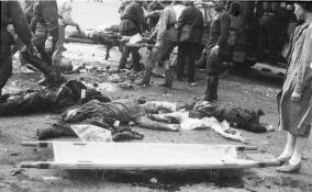 Рассекречены документы об убийстве нацистами душевнобольных в Гатчинском районе