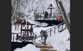 Волховская экотропа «Абрамовщина» готова к Крещению: расчищены подходы к святому колодцу