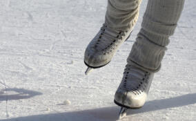 От лекций до катка: В Сосновом Бору пройдет фестиваль «Молодость без границ»