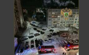 В Никольском после пожара эвакуировали десятки жильцов и спасли собаку