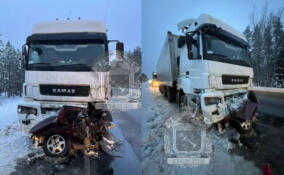 Авария с грузовиком и легковушкой на трассе «Кола»: есть жертвы