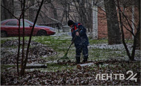 Небольшой снег и до -5 градусов: о погоде в Ленобласти 19 января