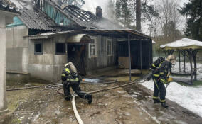 За сутки в Ленобласти потушили 18 пожаров: спасены шесть человек