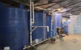 Подпольный цех по производству алкоголя накрыли в Гатчинском округе