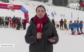 В Приозерском районе проходит первенство СЗФО по горным лыжам