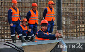 Почти 2,5 тыс. мигрантов выдворили из Ленобласти за 2025 год