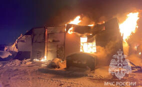 В Ленобласти за неделю произошло более 90 пожаров