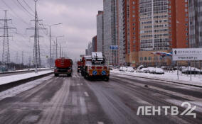 Небольшой снег и до -5 градусов пообещали жителям Ленобласти 20 января