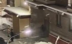 Три девочки-подростка разгромили парадную в Сертолово