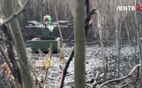 Операторы FPV-дронов войск беспилотных систем группировки «Север» уничтожили опорный пункт ВСУ на Харьковском направлении