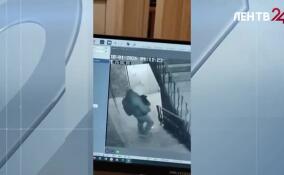 В Петербурге разыскивают чихуахуа