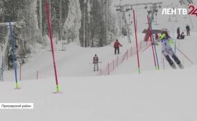 Юниоры из Ленобласти стали победителями первенства СЗФО по горнолыжному спорту