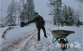 До -12, ветрено и небольшой снег: прогноз погоды в Ленобласти на 21 января