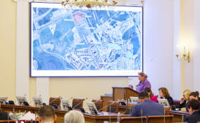 В Петербурге утвердили планировку участка ветки метро за станцией «Шуваловский проспект»