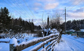 В Сосновом Бору потребовали снести постройки в охранной зоне ЛЭП