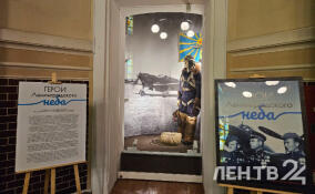 В Музее А.В. Суворова начала работу выставка «Герои Ленинградского неба»