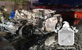 На трассе «Кола» в лобовую столкнулись легковушка и бензовоз