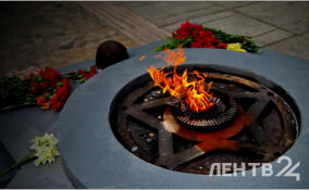 Александр Дрозденко обратился к жителям в День освобождения Мги от немецко-фашистских захватчиков