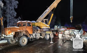 Спасатели ликвидировали последствия ДТП с участием бензовоза в Волховском районе