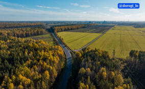 В 2025 году в Ленобласти отремонтировали почти 300 километров дорог