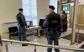 В суды Ленобласти за год попытались пронести более 4,7 тыс. опасных предметов