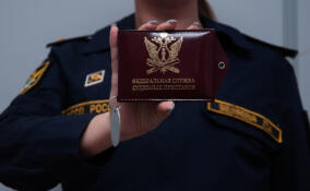 В Петербурге судебные приставы изъяли почти 17,5 тыс. запрещенных предметов в 2025 году