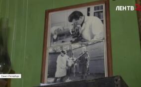 В преддверии Дня полного освобождения Ленинграда от фашистской блокады в Ленинградском зоопарке открылась тематическая экспозиция