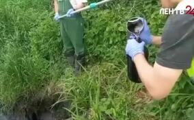 Суд обязал Леноблводоканал оплатить ущерб, причиненный реке Селезневке