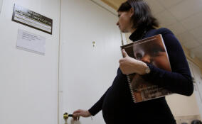 Будущие мамы из Ленобласти смогут бесплатно пройти неинвазивный пренатальный тест