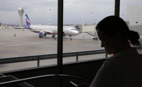 На рейсы между Шереметьево и Пулково пустят без паспорта