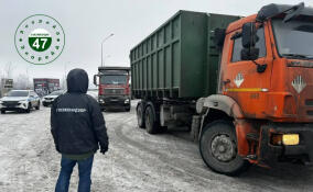 Инспекторы госэконадзора проверили более 30 мусоровозов во Всеволожском районе