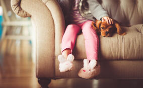 Горе-отца из Соснового Бора за неуплату алиментов приговорили к исправительным работам