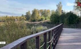 Зеленая лесопарковая зона вокруг Петербурга займет 172 тысячи гектаров