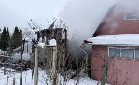 За сутки в Ленобласти ликвидировали восемь пожаров