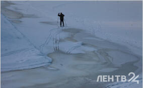 До -16, местами снег: прогноз погоды в Ленобласти на 24 января