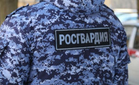 Двое пьяных мужчин изнасиловали пожилую жительницу Выборга