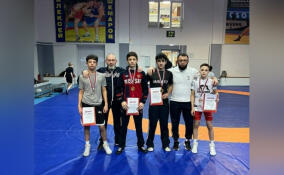 Спортсмены из Ленобласти завоевали 11 медалей на первенстве СЗФО по вольной борьбе