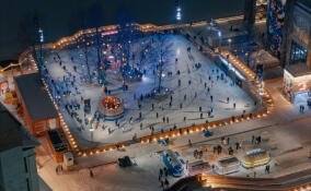 «Флагшток» и «Севкабель» приглашают Татьян и студентов на лед 25 января