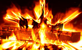 За сутки в Ленобласти ликвидировали 14 пожаров