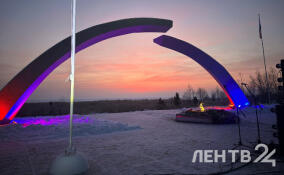 Во Всеволожском районе проходит 57-й зимний марафон «Дорога жизни»