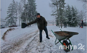 Небольшой снег и до -14 градусов: о погоде в Ленобласти 26 января