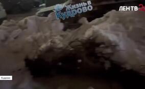 В Кудрово при уборке снега повредили деревья и кустарники во дворах