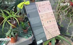 В ботаническом саду Петра Великого работает патриотический маршрут «Блокадная повесть Ботанического сада»