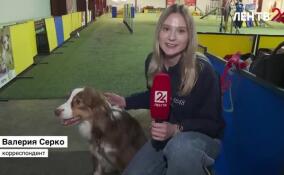 Во Всеволожском районе прошли соревнования по кинологическому спорту