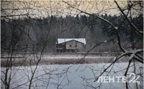 В ночь на вторник в Ленобласти вновь прогнозируют до -20