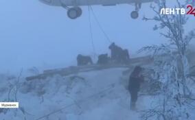 Энергетики Ленобласти направили помощь мурманским коллегам