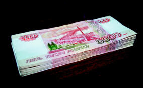 Женщину отправили в колонию на 2,5 года за кражу почти 4 млн рублей во Всеволожске