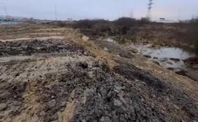 Нелегальную свалку обнаружили на берегу реки Утка во Всеволожском районе