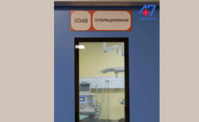 Врачи спасли жизнь беременной женщины после  ДТП в Ломоносовском районе