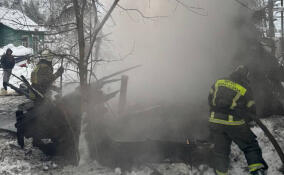 За сутки в Ленобласти потушили 14 пожаров